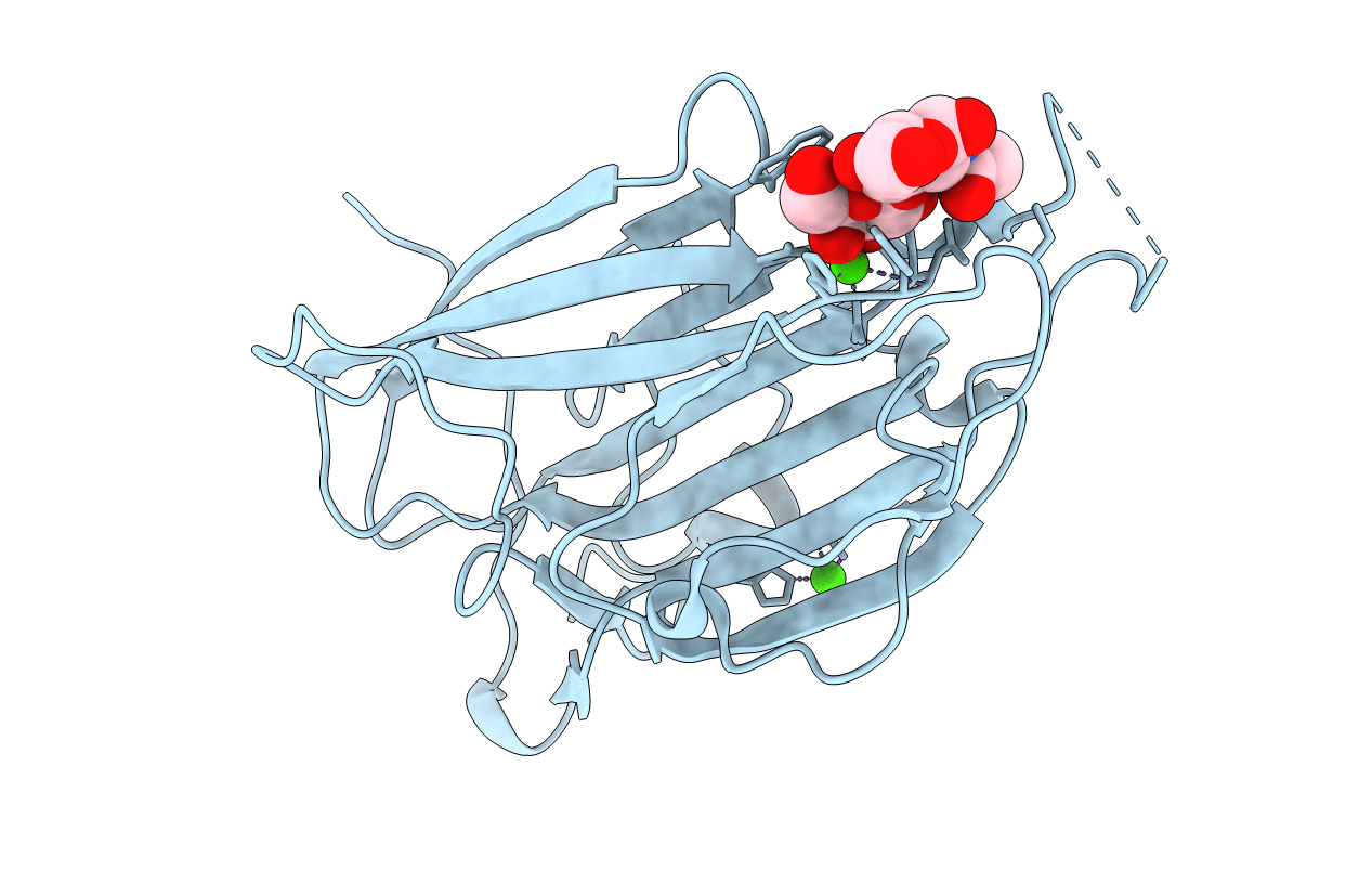 4CP1 image