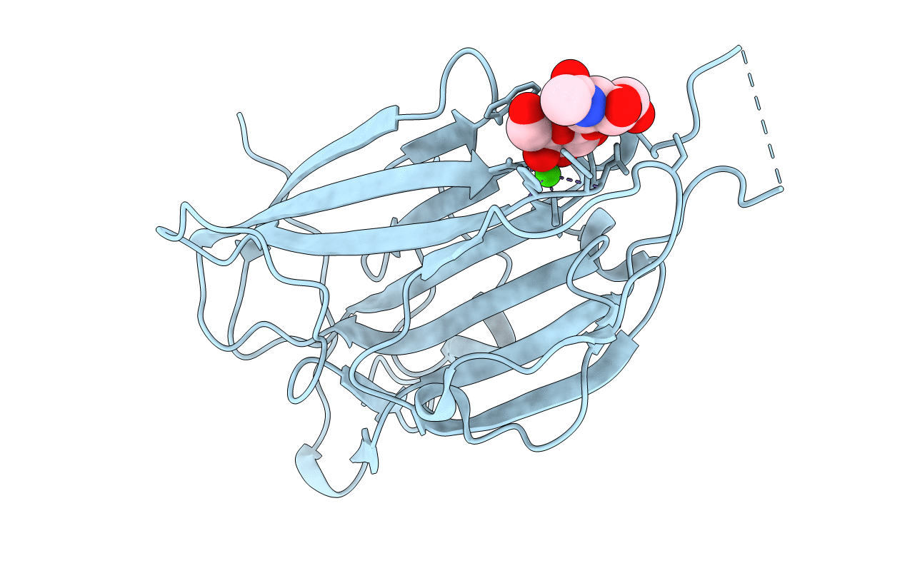 4CP2 image
