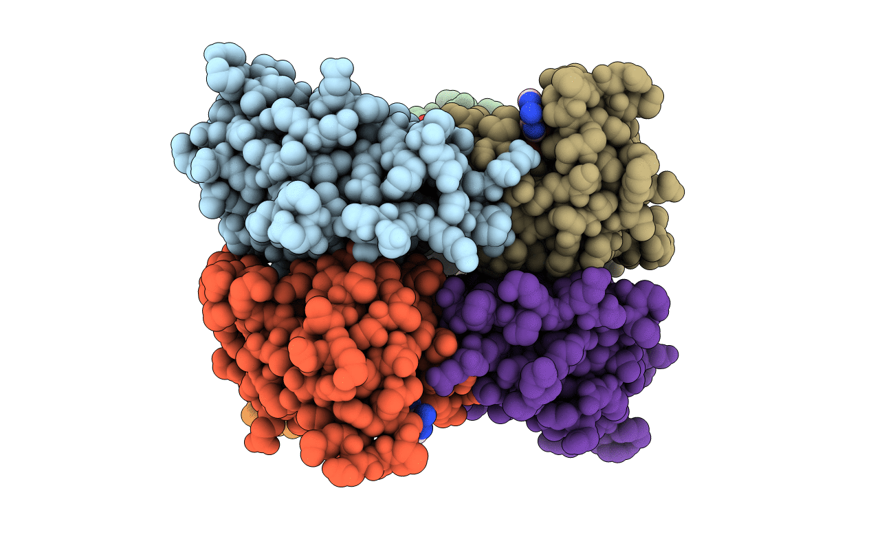 4CP5 image