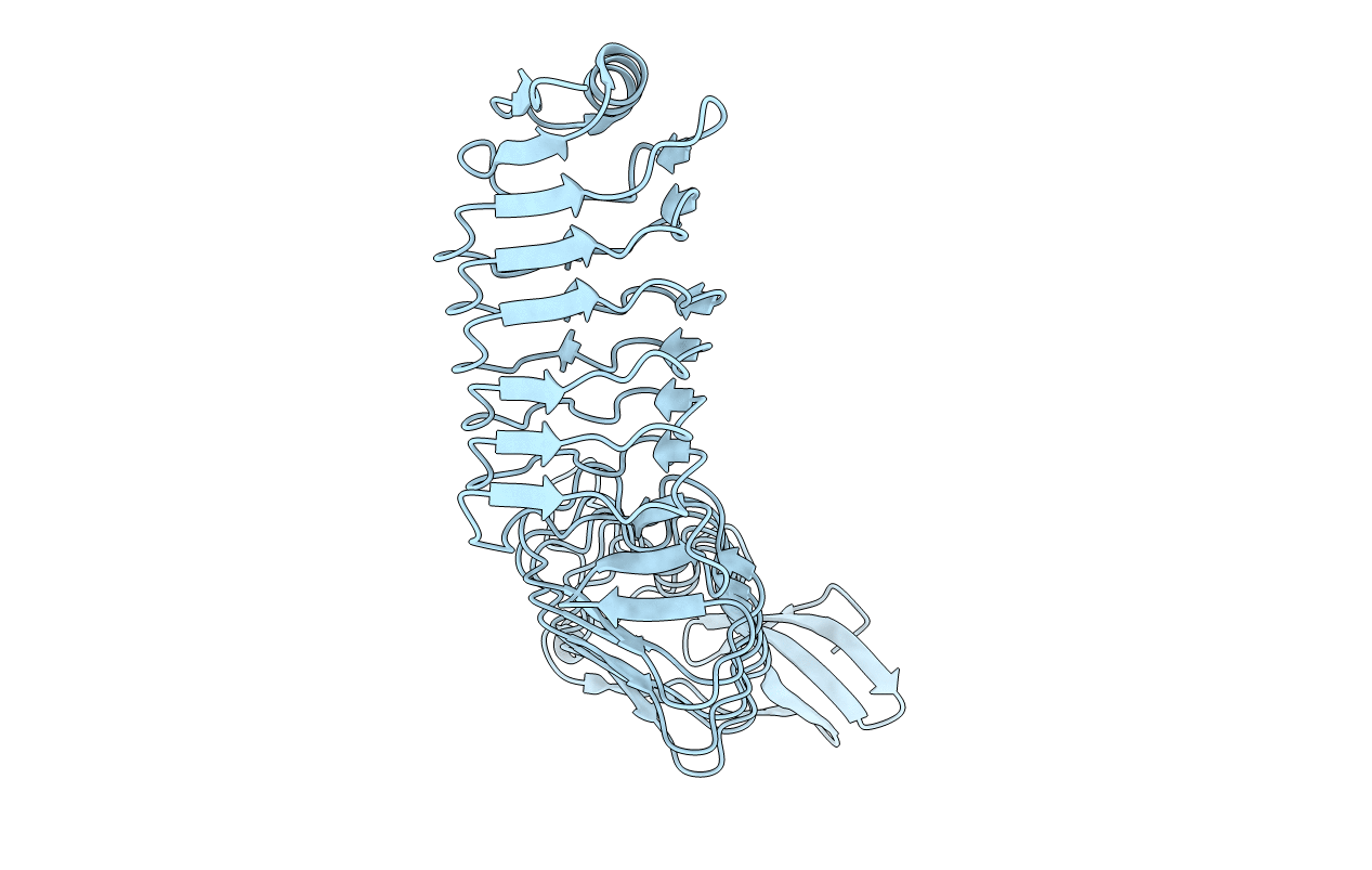 4CP6 image