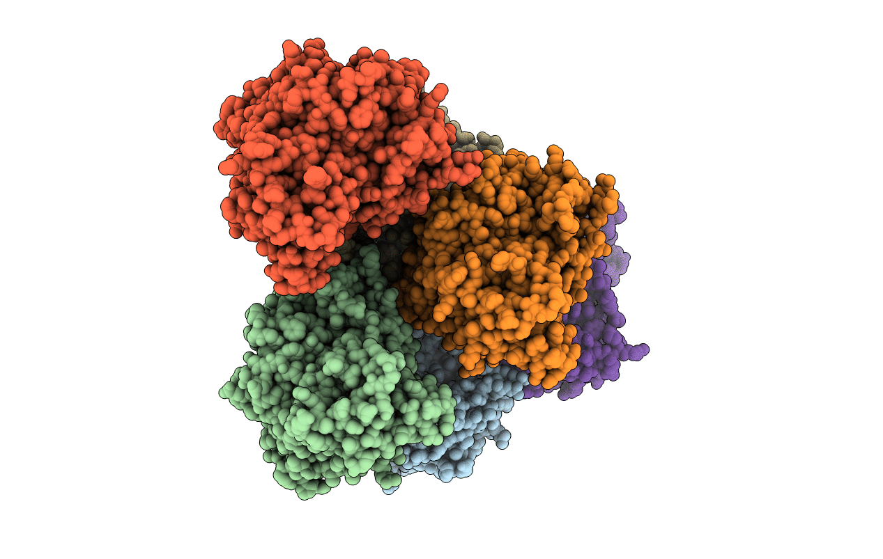 4CP8 image