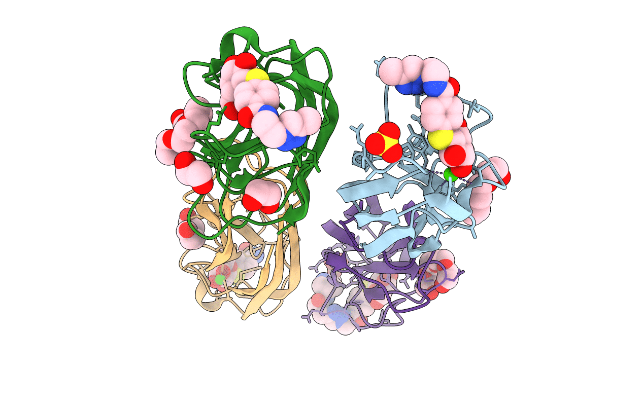 4CP9 image