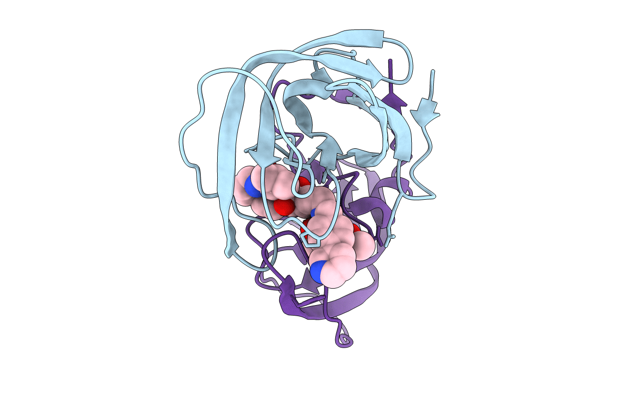 4CPT image