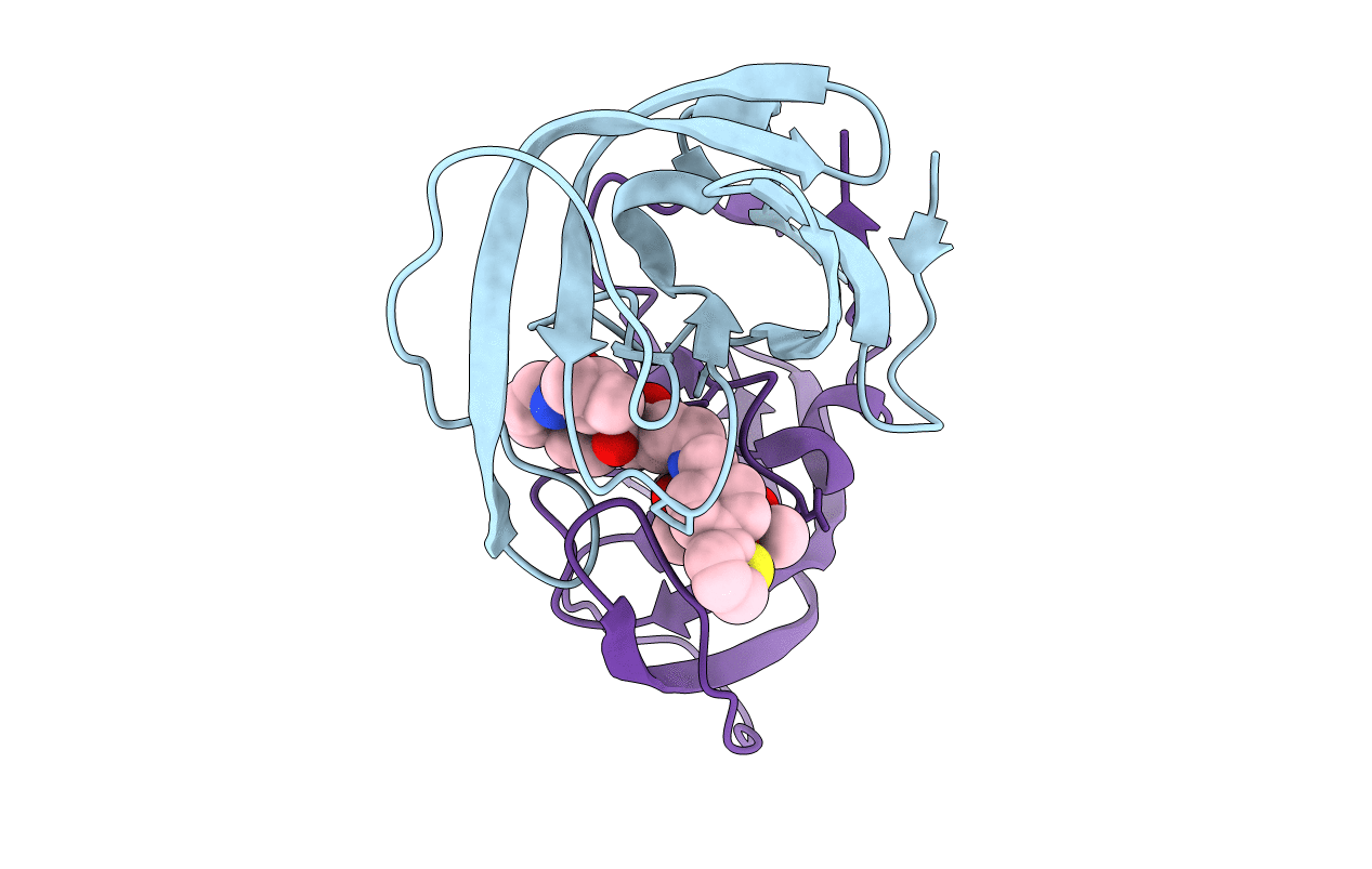 4CPX image