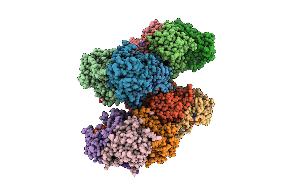 4CQM image