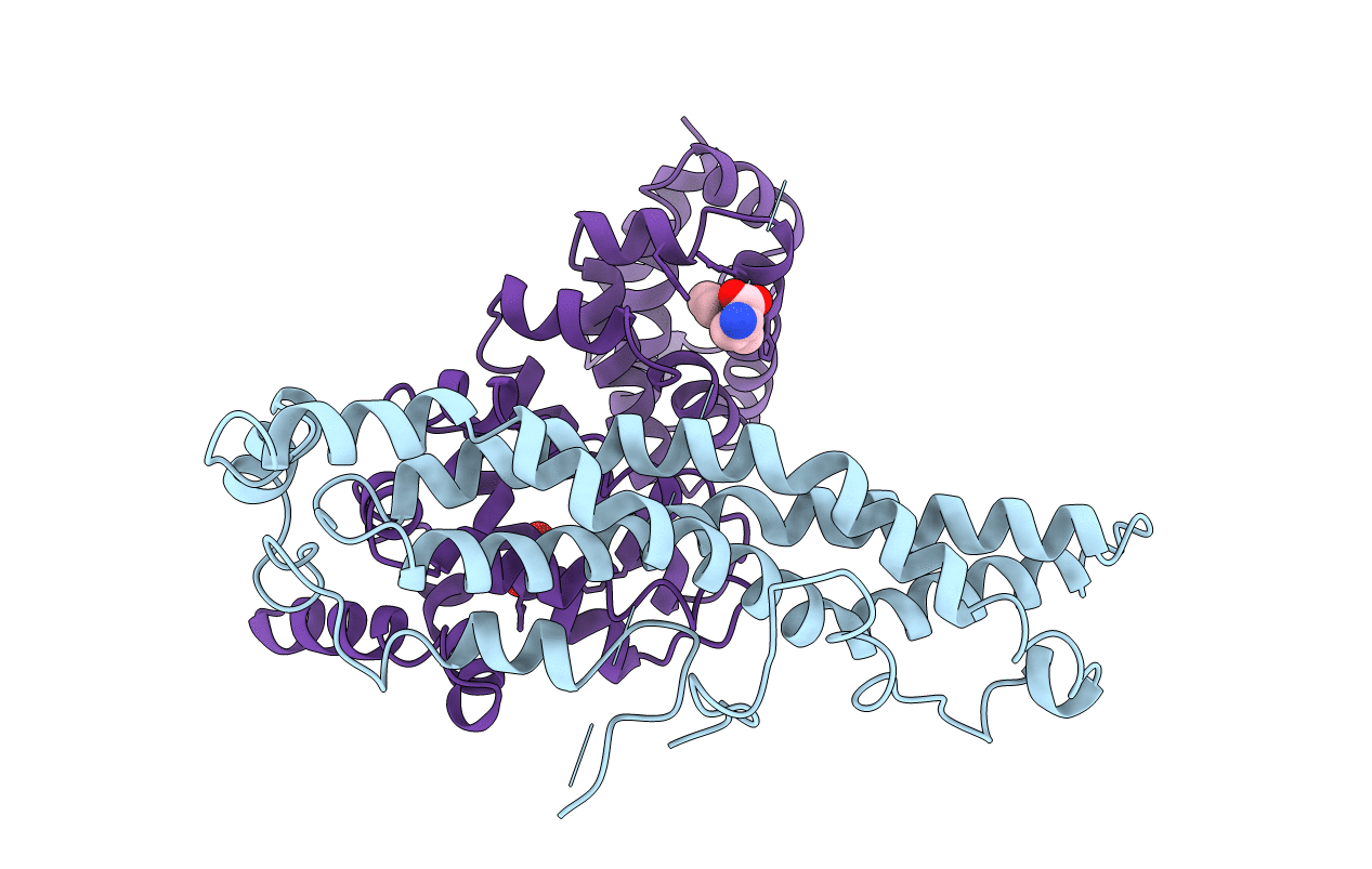 4CRV image