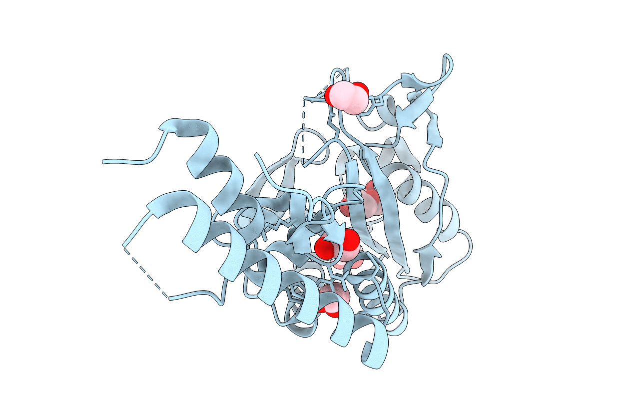 4CS2 image