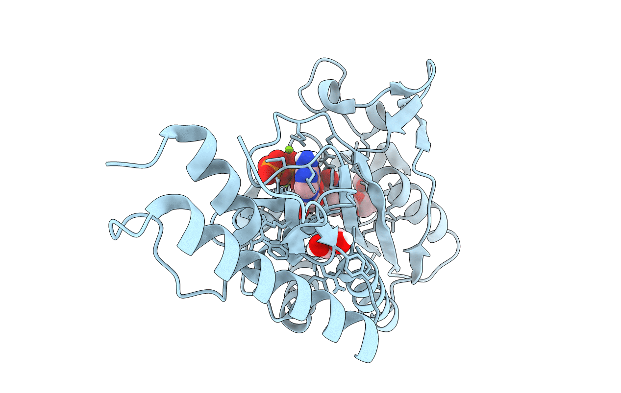 4CS3 image