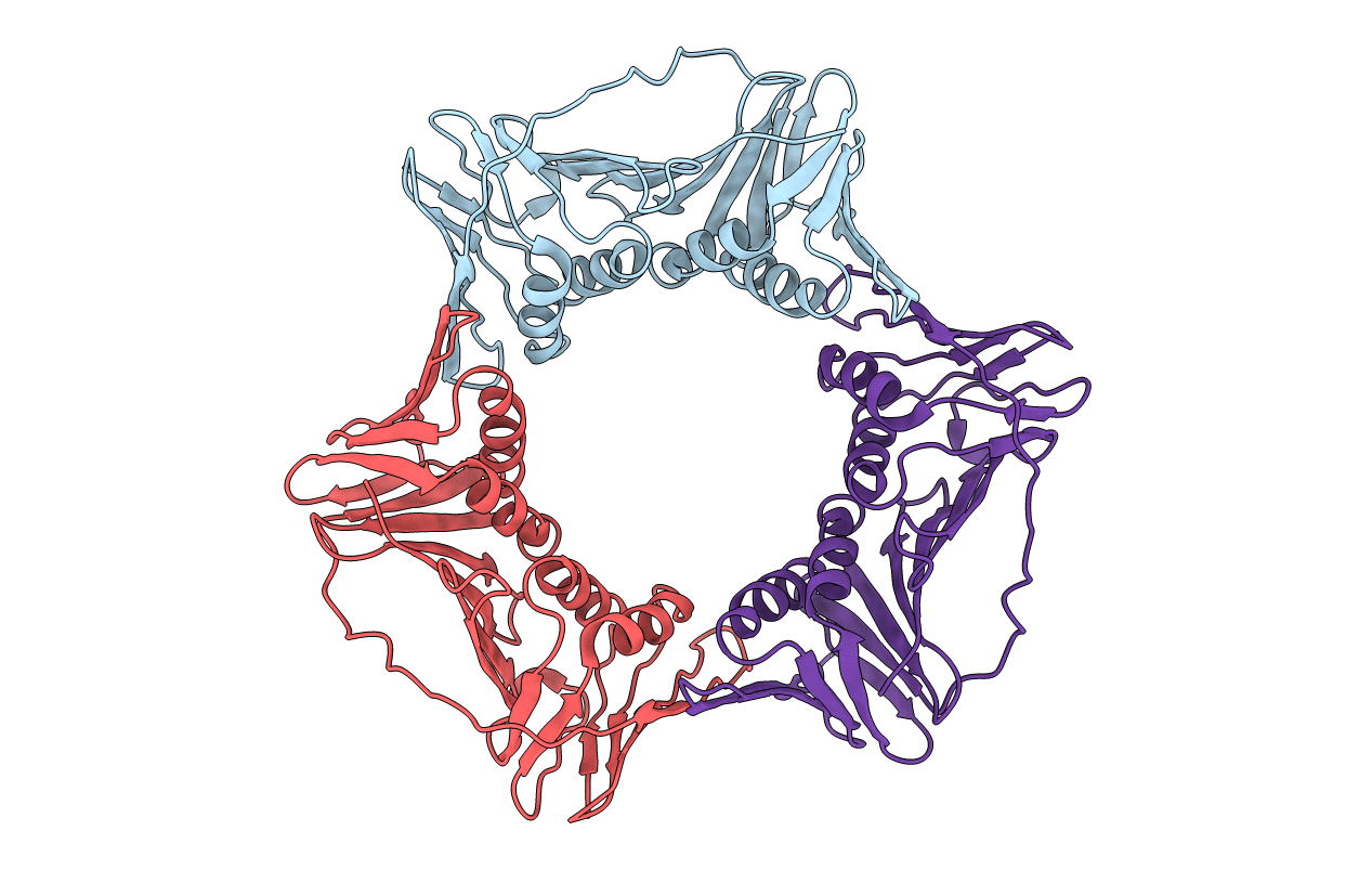 4CS5 image