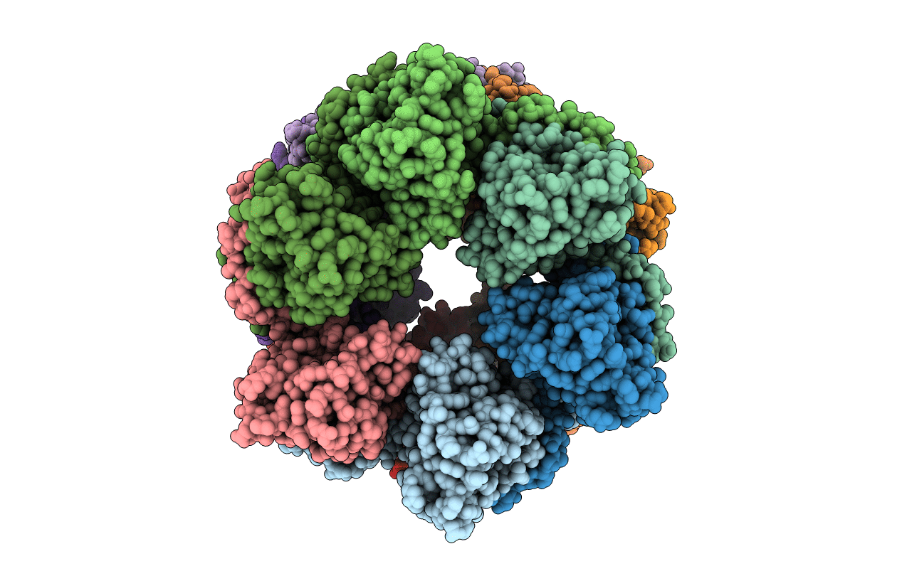 4CSG image