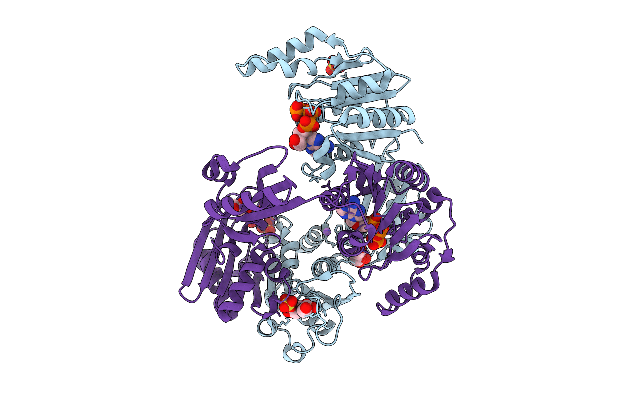 4CTA image