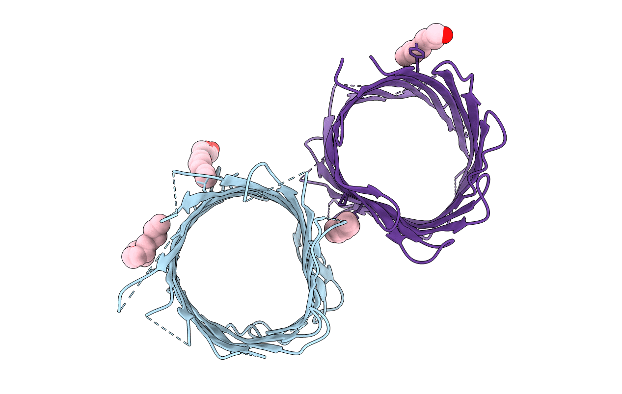 4CTD image