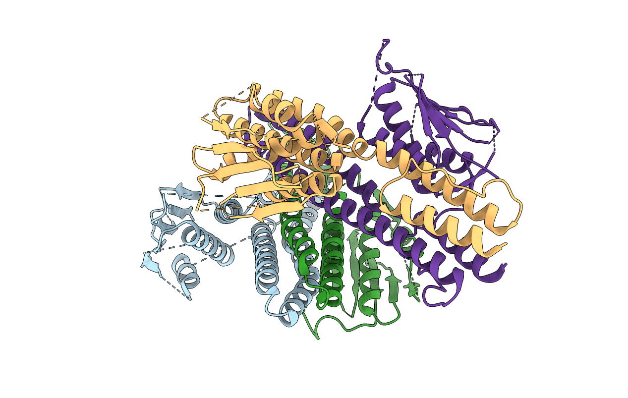 4CTI image