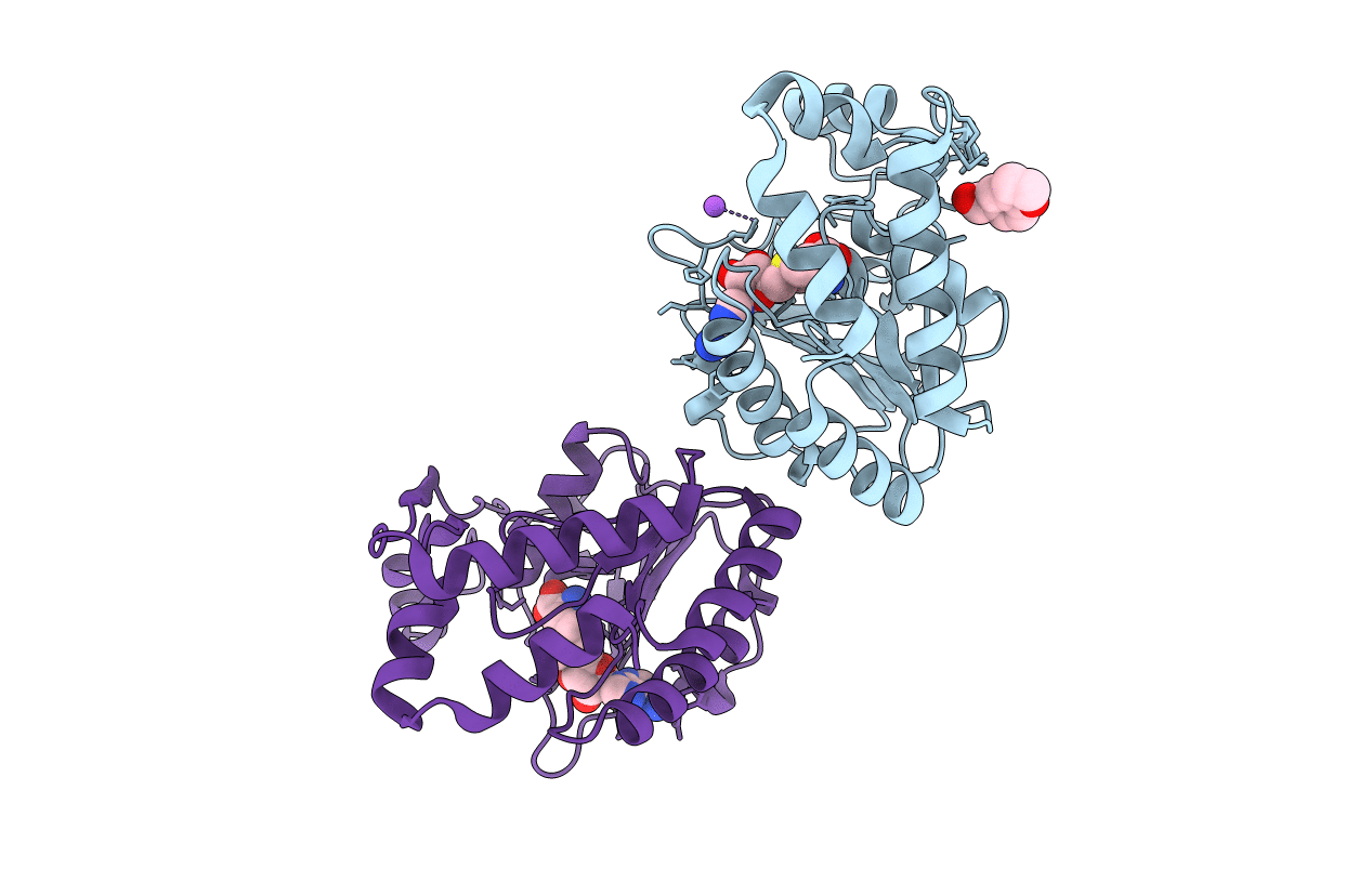 4CTJ image