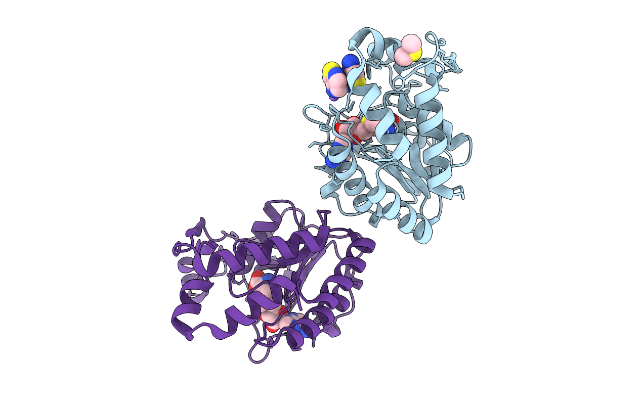 4CTK image