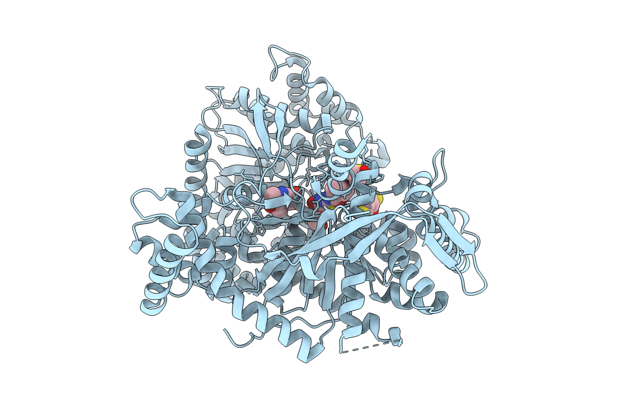4CTN image