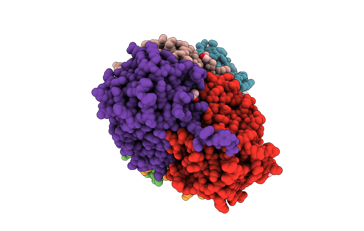 4CV1 image