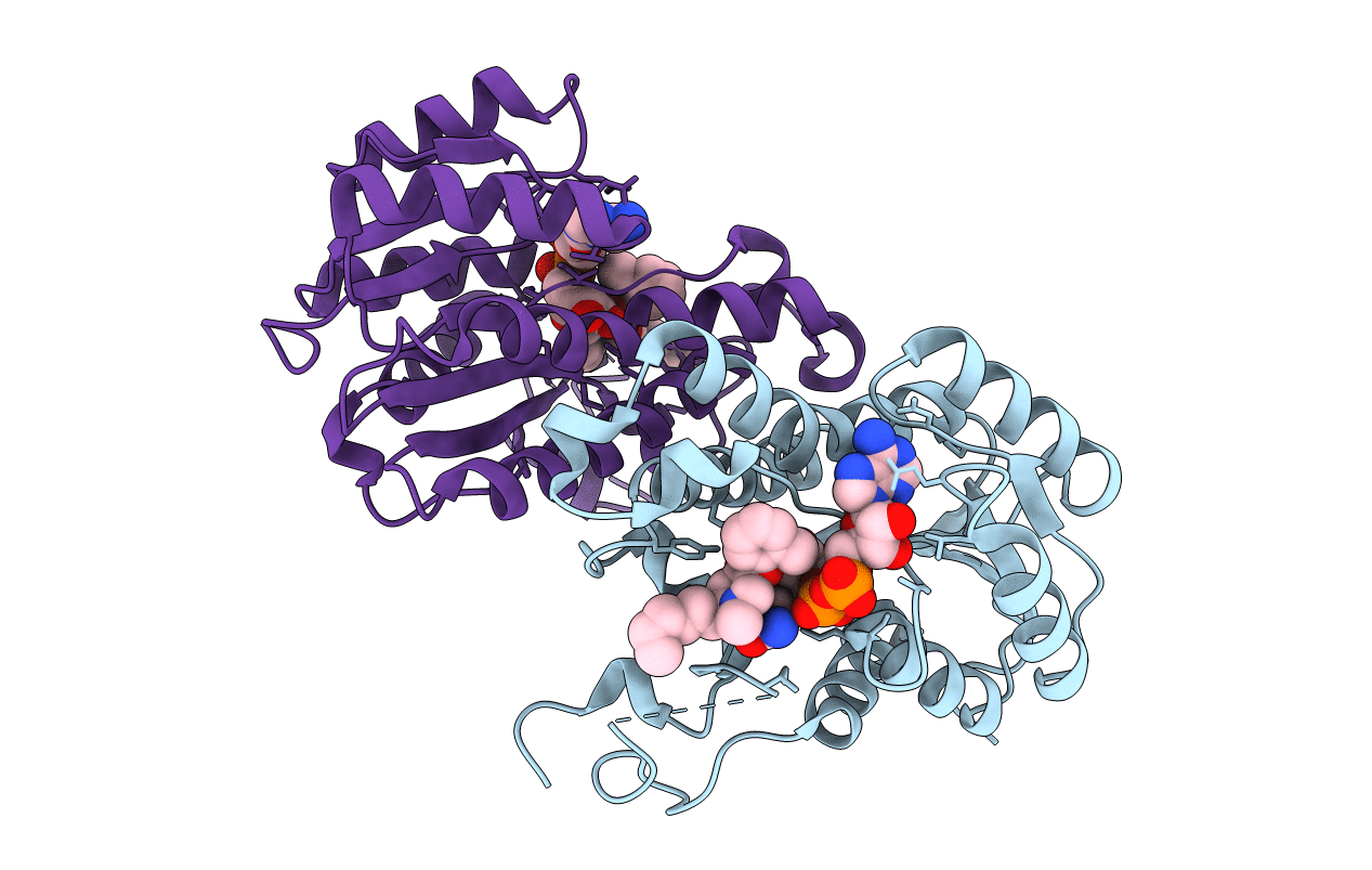 4CV3 image