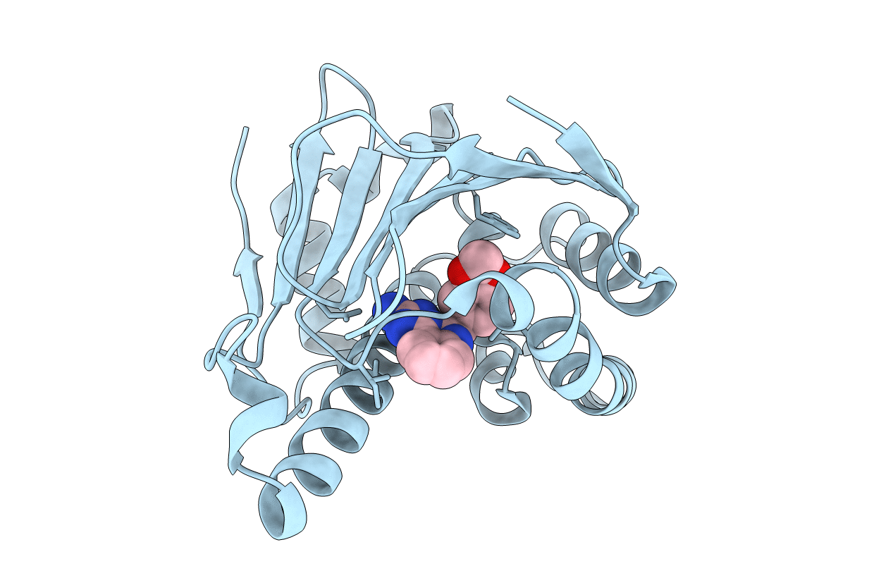 4CWP image
