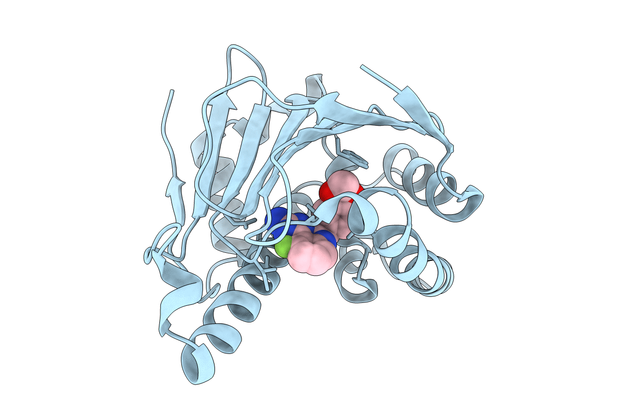4CWR image