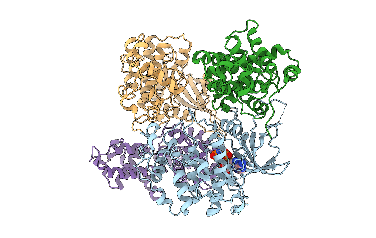 4CXA image