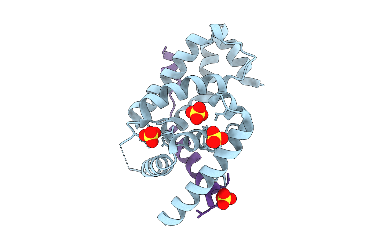 4CXF image
