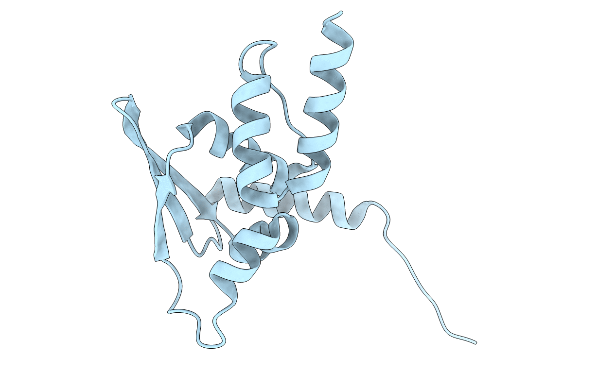 4CXI image