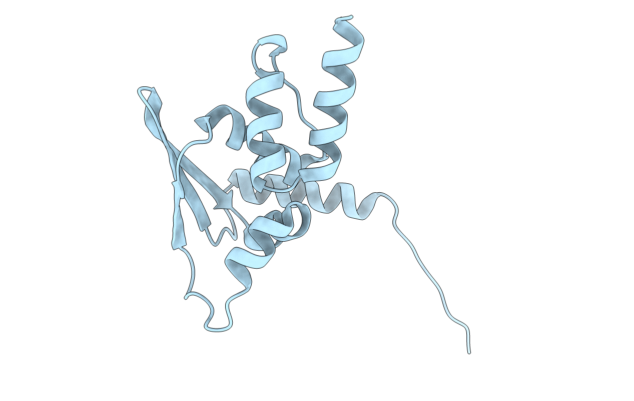 4CXJ image