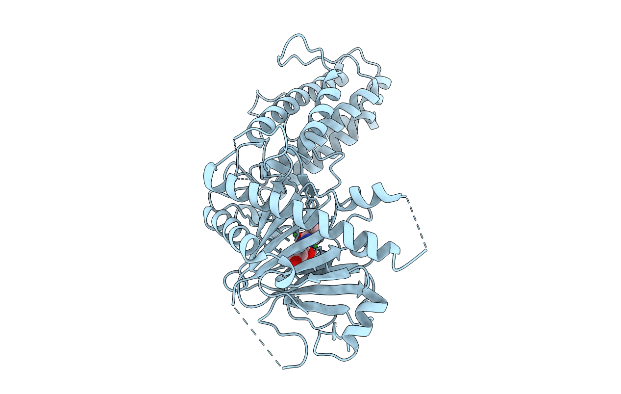 4CXY image