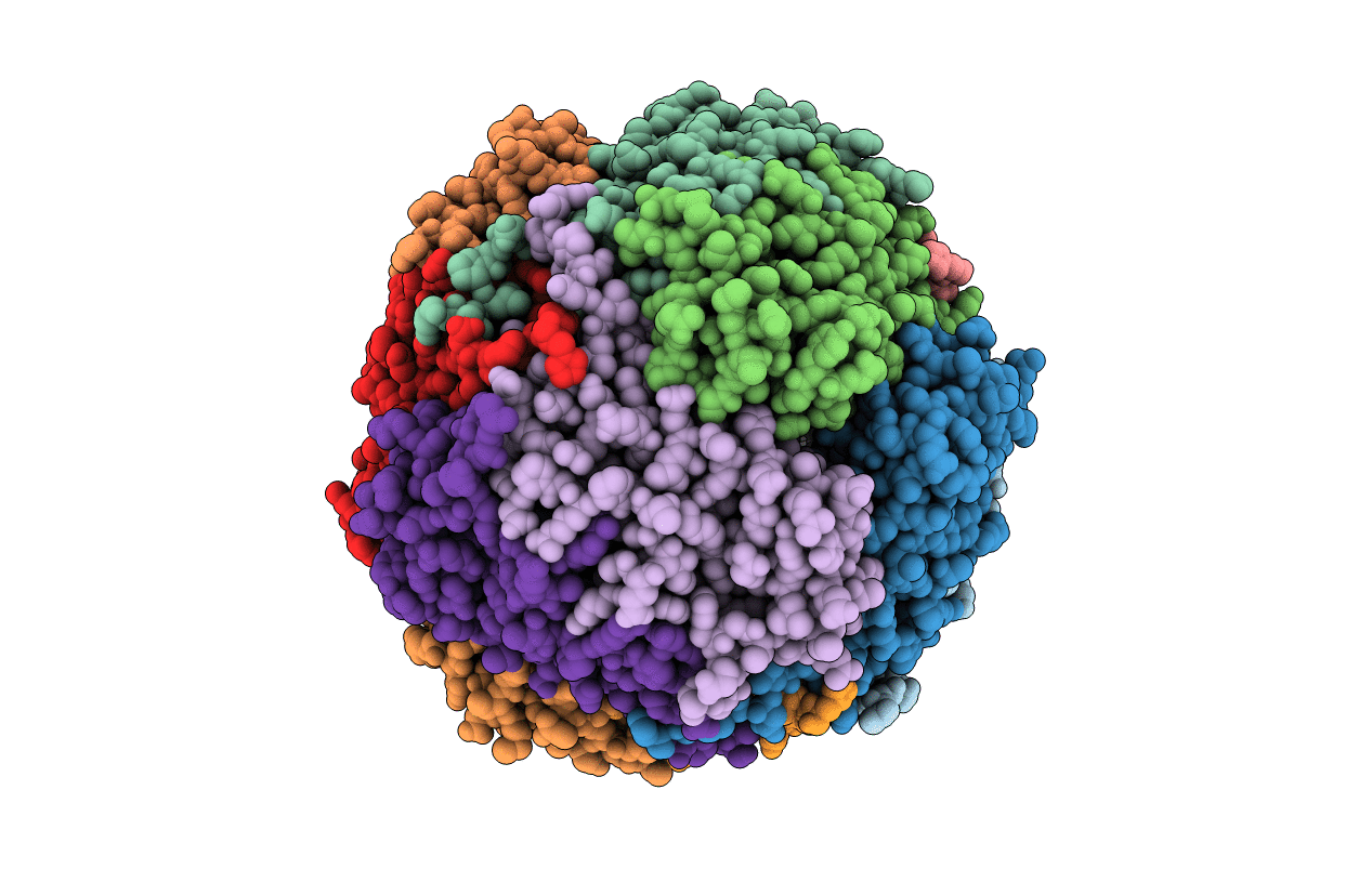 4CYB image