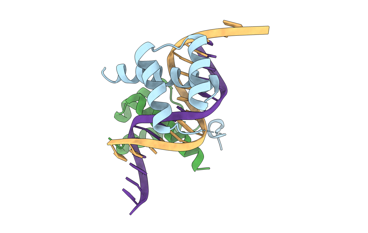 4CYC image