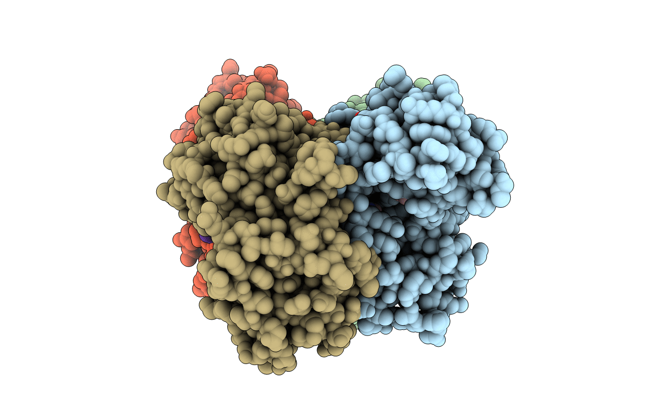4CYD image