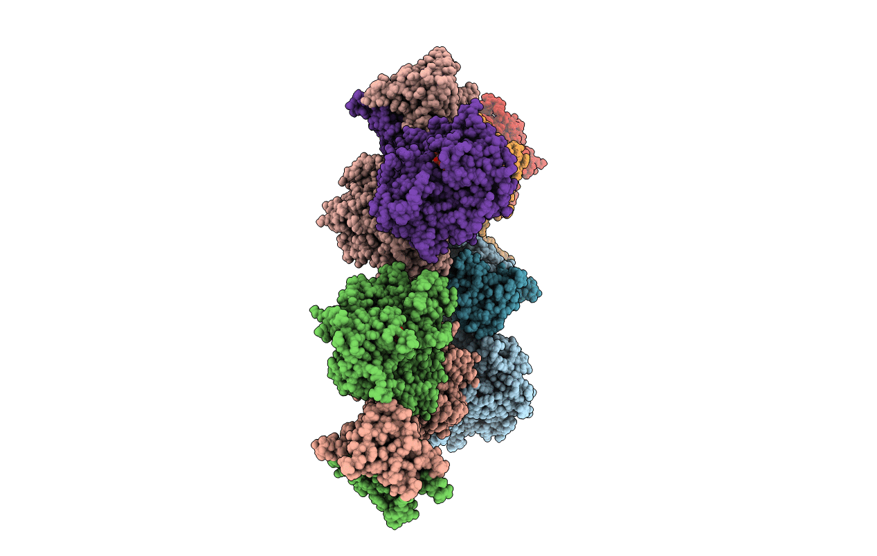 4CYI image