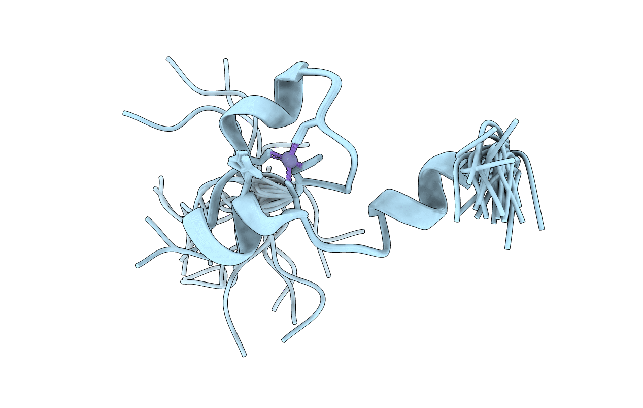 4CYK image