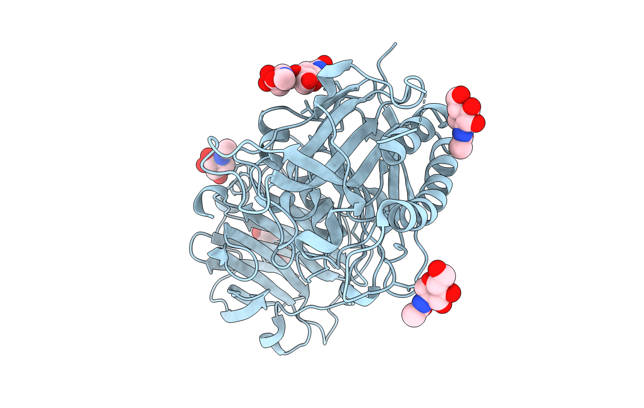 4CYY image