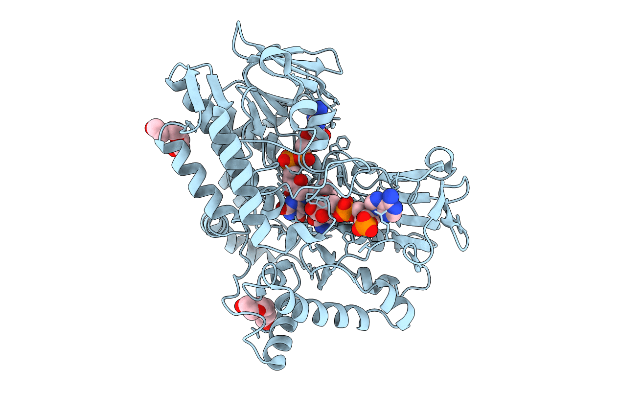 4D04 image