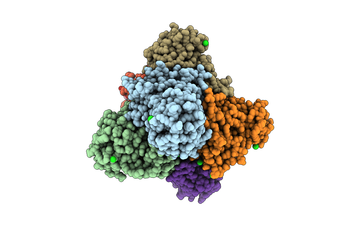 4D06 image