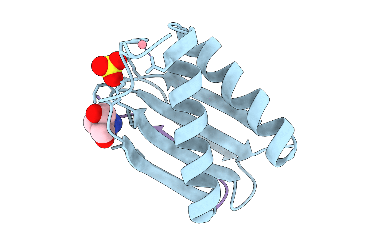 4D07 image