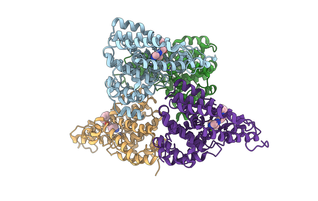 4D09 image