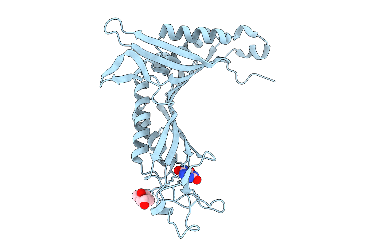 4D12 image