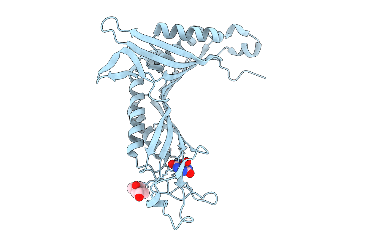 4D13 image