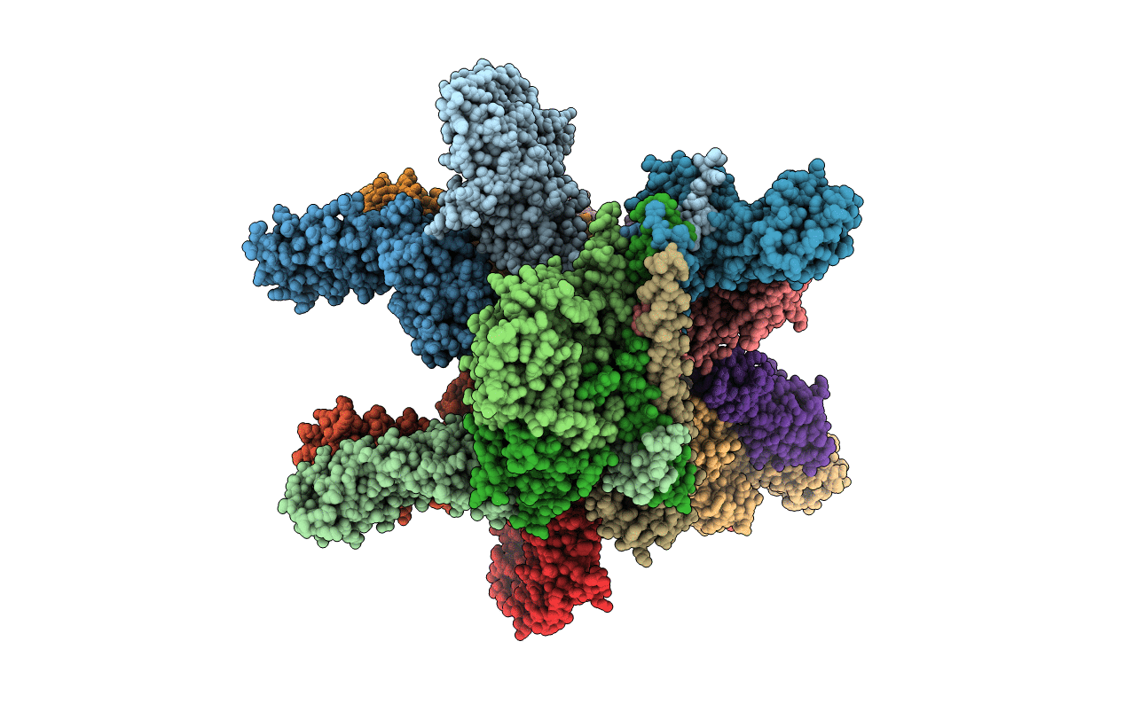 4D18 image