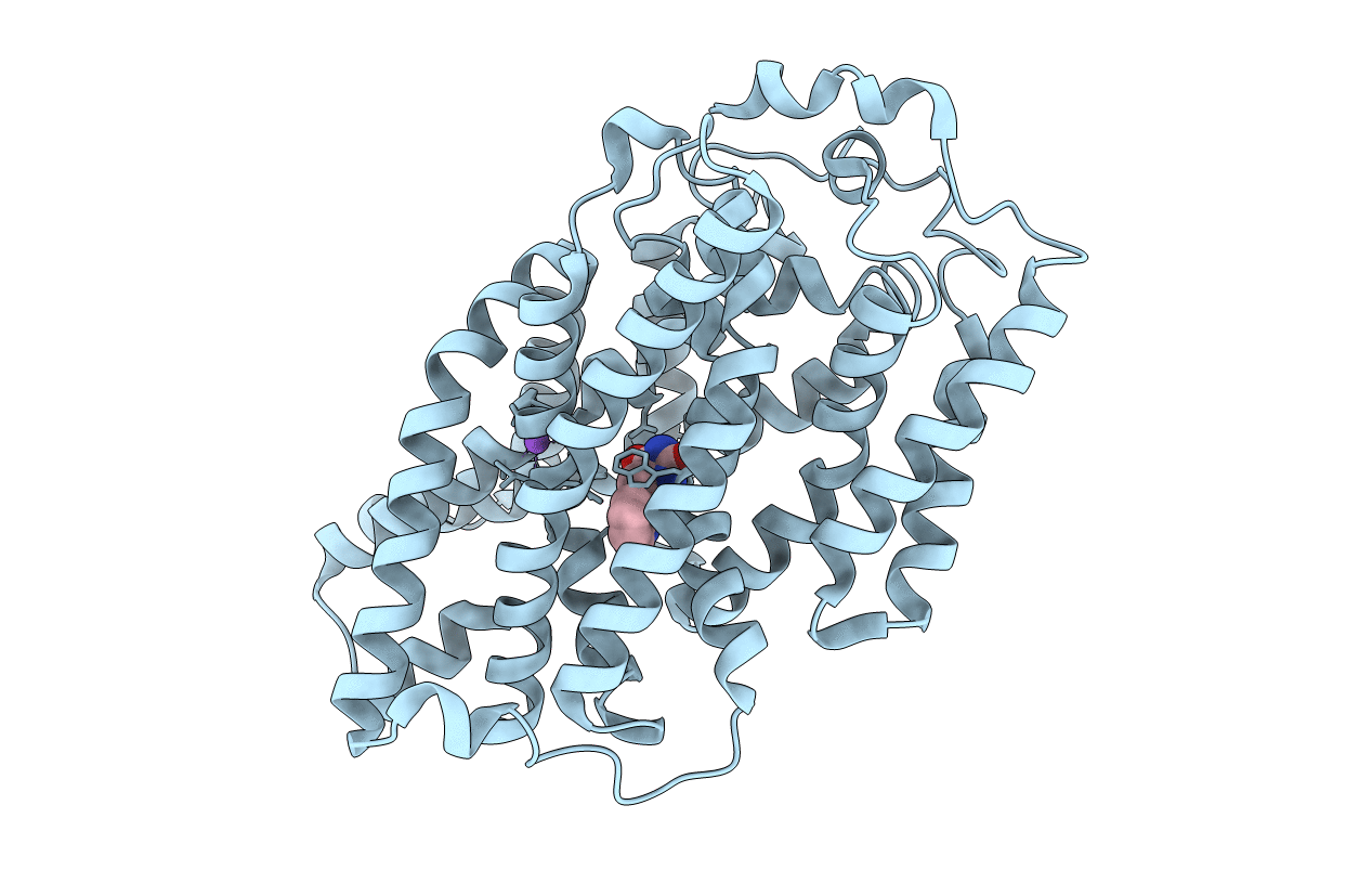 4D1A image
