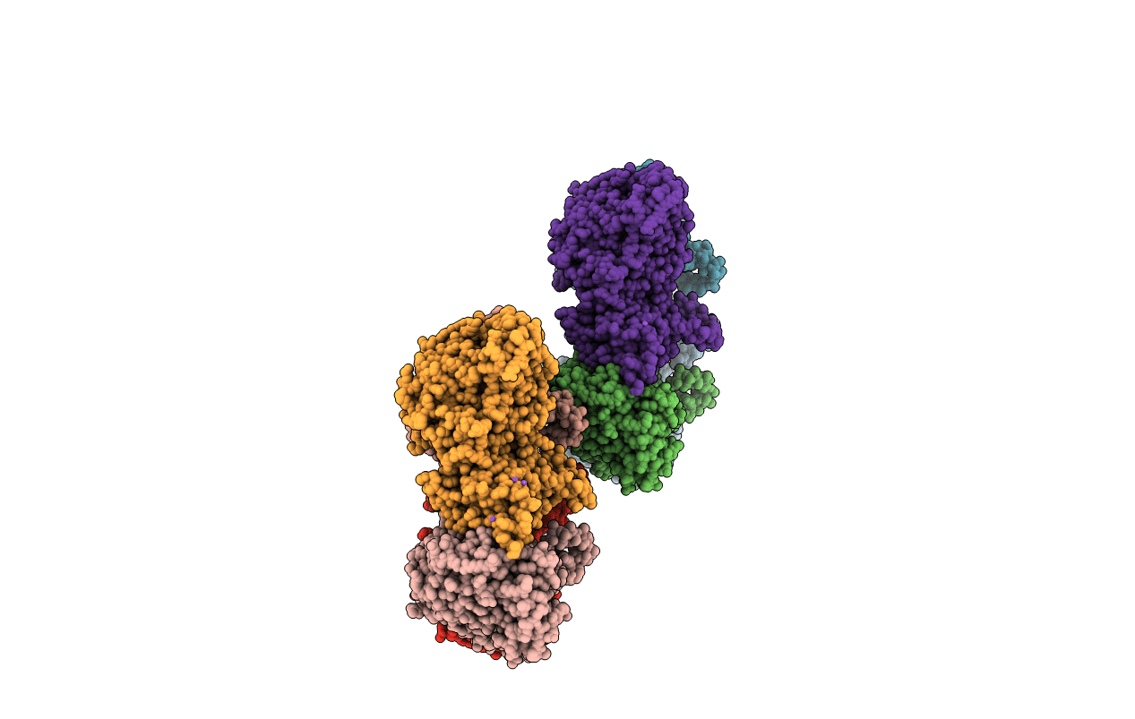 4D1I image