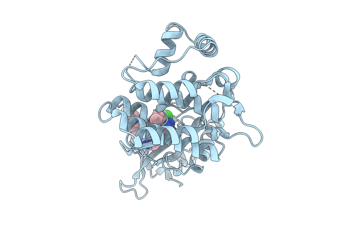 4D1S image