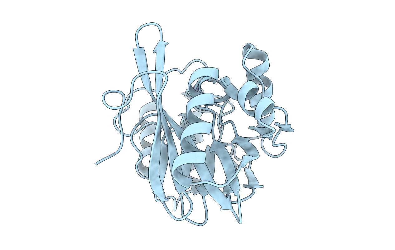 4D1U image