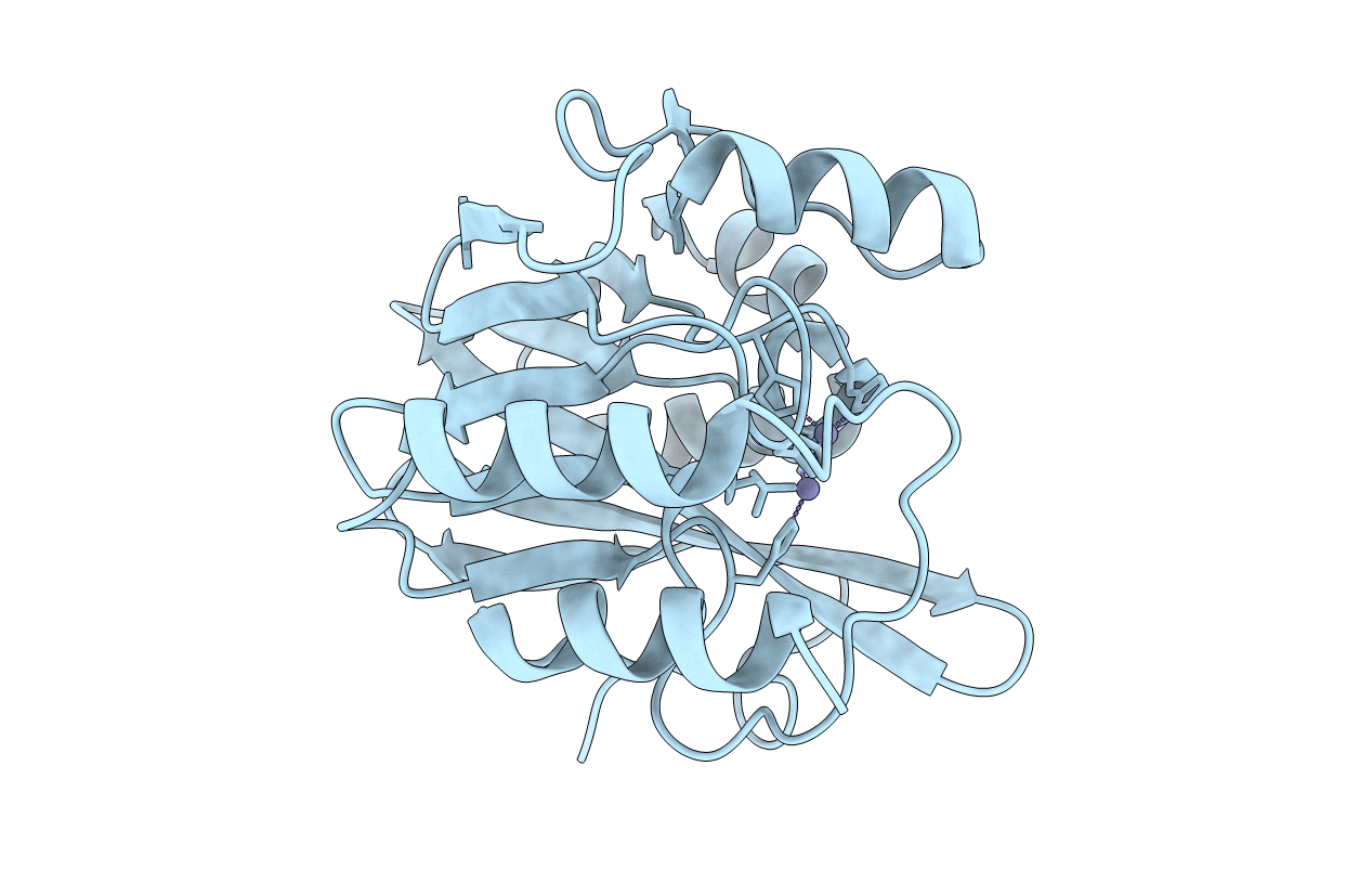 4D1W image