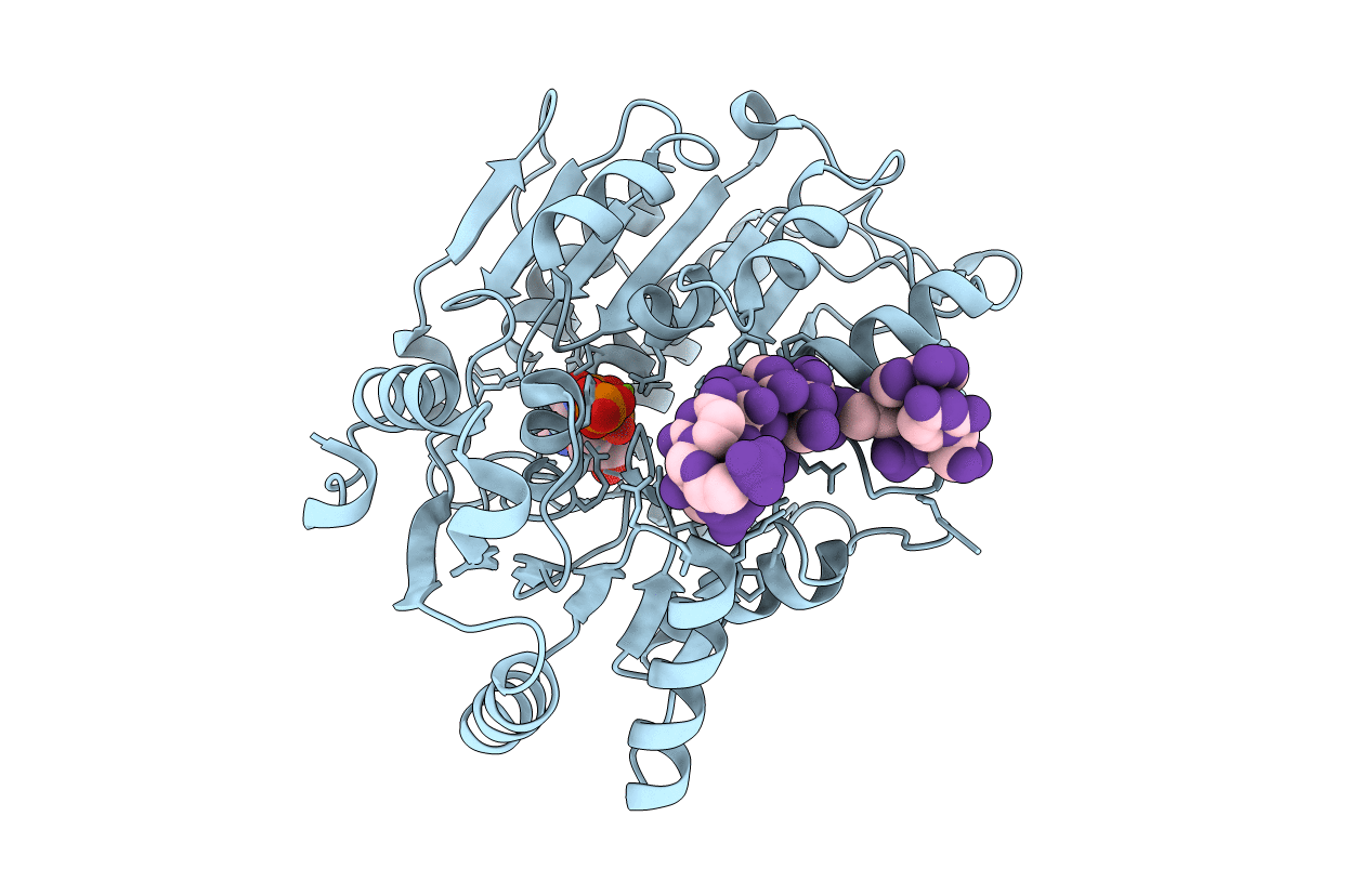 4D26 image