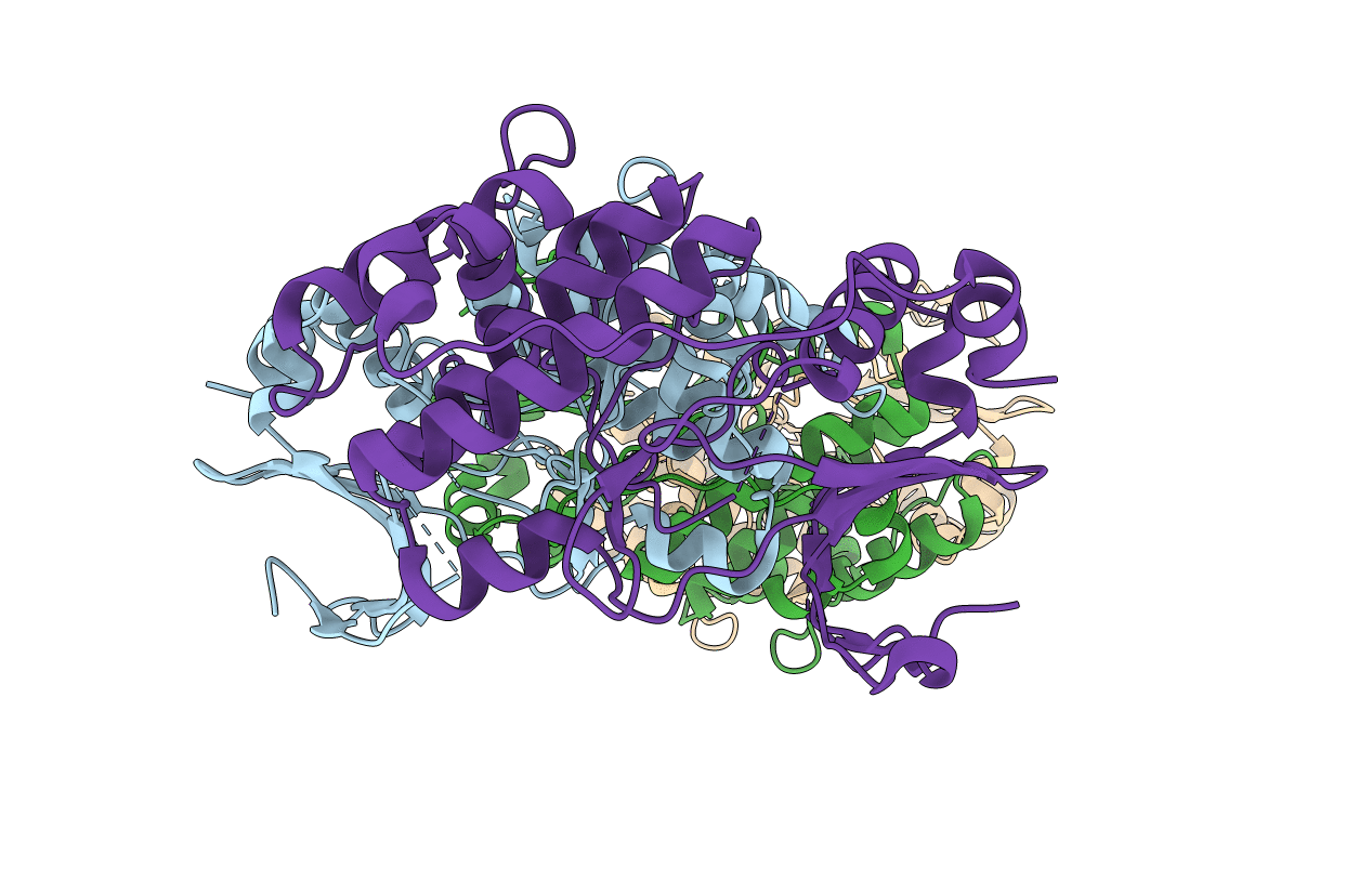 4D28 image