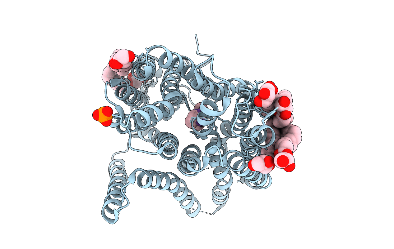4D2D image